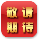 大军师